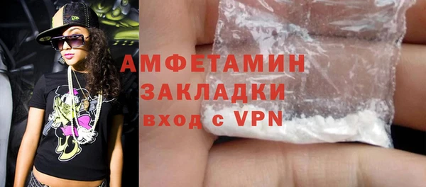 прущие грибы Бронницы