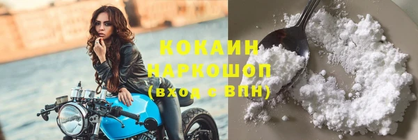 прущие грибы Бронницы