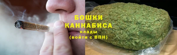 гидра Бородино