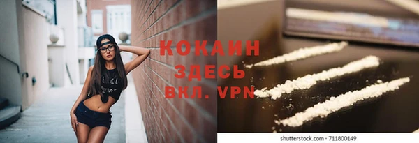 мдпв Богородицк
