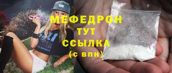 мдпв Богородицк